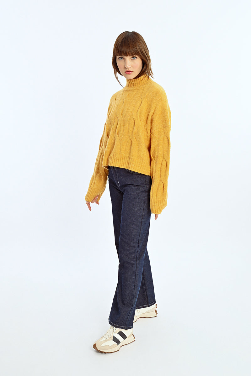 Tricot avec torsades