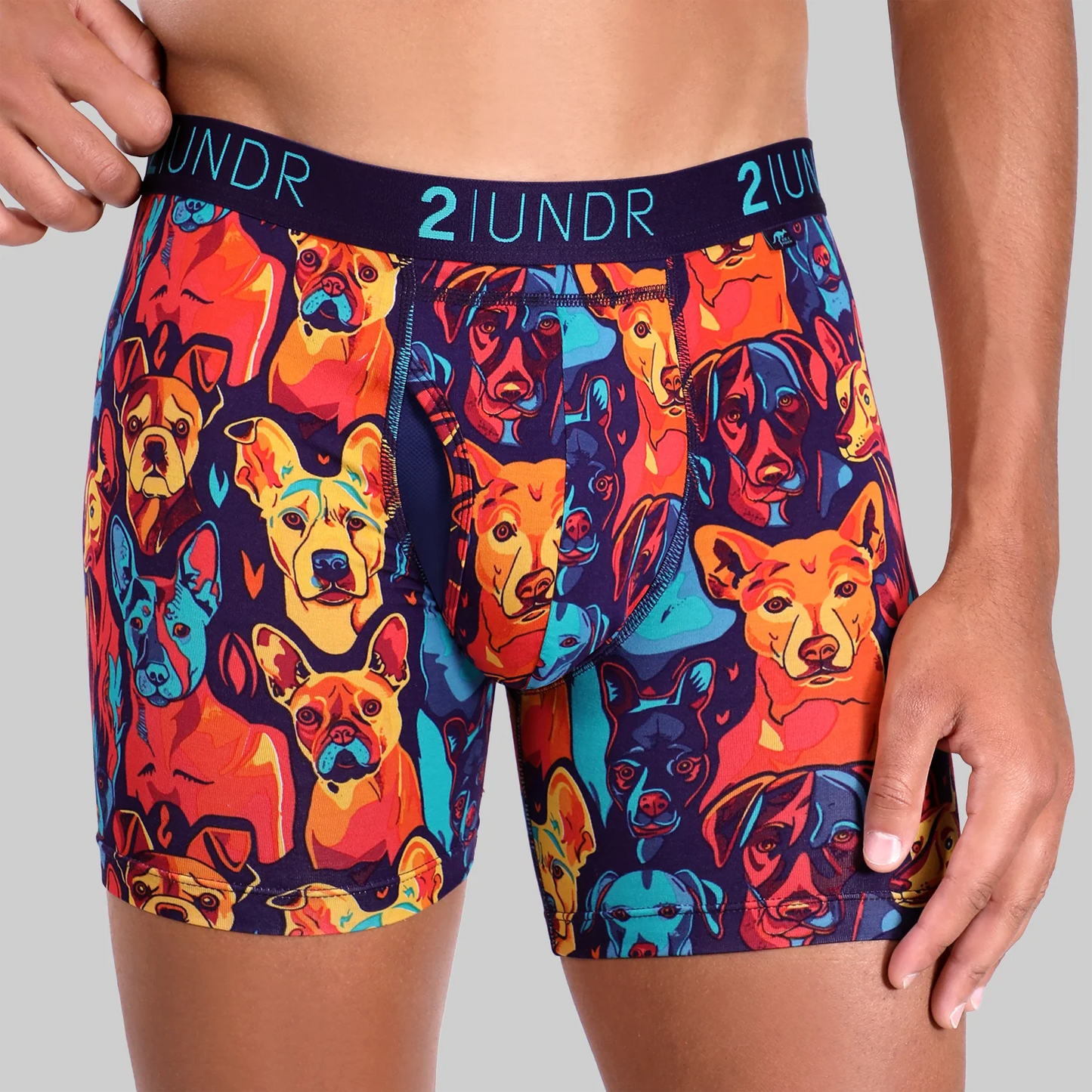Boxer Swing Shift Le meilleur ami de l’homme