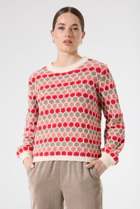Tricot coloré